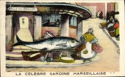 CPA Marseille La Celebre Sardine marseillaise Poisson