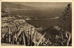 CPA Le Cap Martin vu du Rond Point de la Turbie