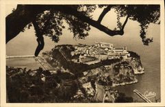 CPA Monaco Le rocher entre les arbres
