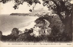 VINTAGE POSTCARD Monte Carlo Seen between the Olive-trees