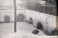 VINTAGE POSTCARD Inondations Of Paris Botanical garden Bath Forces Bear