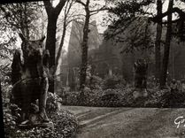 CPM Paris Et Ses Merveilles Jardin Du Musee De Cluny