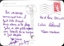 MODERN CARD Panorama Of Calvi Corsica Cicadelle And the Low City Since