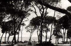 MODERN CARD Juan Pines Pincede And Escadro