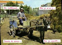 CPM Ane Attelage Folklore