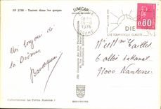 MODERN CARD Torrent in the throats