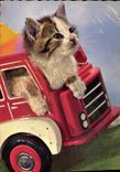CPM Chat Camion 