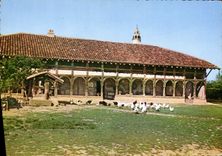 MODERN CARD Closes in Ain Poules