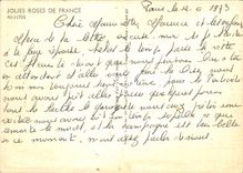 CPM Fantaisie Fleurs Jolies Roses De France