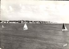 POSTAL MODERNA concha grande de Royan