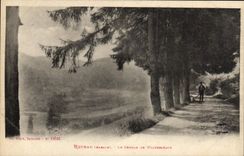 VINTAGE POSTCARD Rothau Chamin De Wildersbach