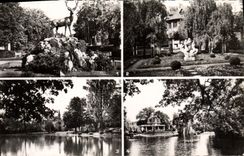 CPM Le Vesinet Le Cerf au Rond Point Royal Les lbis Les trois sirenes