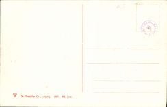 VINTAGE POSTCARD Bregenz Gesamtansicht