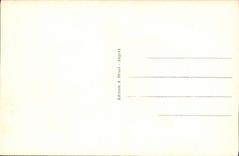 CPA Blois Le Chateau Aile Francois 1er