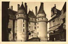 VINTAGE POSTCARD Langeais the Entry of the Castle