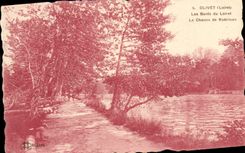 VINTAGE POSTCARD Olivet Edges Of Loiret the way of Robinson