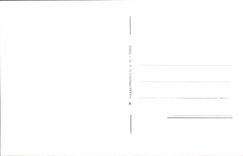 POSTAL MODERNA Chartres la catedral vista de la calle de la ciudad