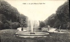 CPA Sens Les Jets d'Eau au Tapis Vert