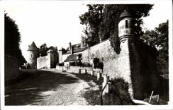 CPM Avallon La petite porte et tour Gaujard