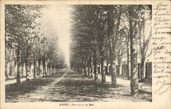 VINTAGE POSTCARD Joigny Walk Of the Email