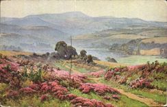 VINTAGE POSTCARD Edouard Pail Crossbred in Morvan