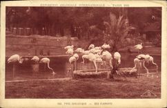 VINTAGE POSTCARD Fair Colonial International Paris 1931 Zoological gardens Of the flamingos Zoo Bird