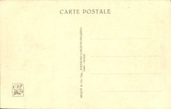 CPA Exposition Coloniale Internationale De Paris Parc Zoologique La savane africaine Autruche Zebre Zoo