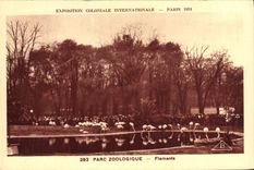 CPA Exposition Coloniale Internationale De Paris Parc Zoologique Zoo Flamants roses