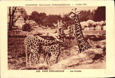 VINTAGE POSTCARD Fair Colonial International Of Paris Zoological gardens the giraffes Zoo