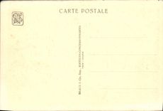 CPA Exposition Coloniale Internationale De Paris Parc Zoologique Les girafes Zoo