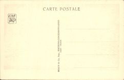 VINTAGE POSTCARD Fair Colonial International Of Paris Zoological garden the plate of the lions Lion Zoo