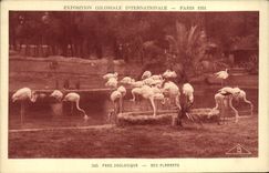 VINTAGE POSTCARD Fair Colonial International Of Paris Zoological gardens Pink flamingos Zoo