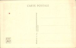 CPA Exposition Coloniale Internationale De Paris Parc Zoologique Flamants roses Zoo