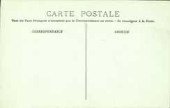 CPA Blois Le Chateau Aile Francois 1er Lucarnes et cheminees