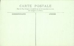 Casa de Orleans de la POSTAL de la VENDIMIA de Diane del museo histórico de Poitiers