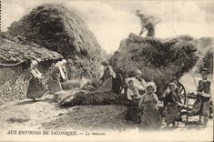 VINTAGE POSTCARD Around Salonique the Harvest Children TOP