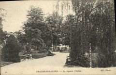 VINTAGE POSTCARD Trawl-net On the Saone the Chabas Public garden