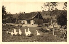 VINTAGE POSTCARD In Morvan Morvandelle Thatched cottage