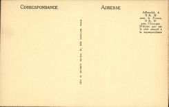 VINTAGE POSTCARD Gabes Bridge Of palm tree In the Oasis