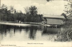 CPA Etang De La Ferme Du Chameau