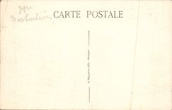 VINTAGE POSTCARD Touchay Castle Of Isle Southern part