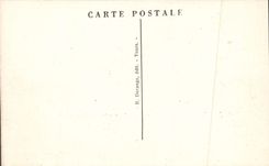 CPA Langeais Le Chateau 