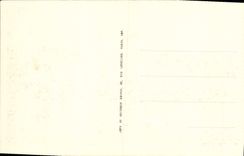 CPA Pierrefonds Le Lac Et Le Chateau