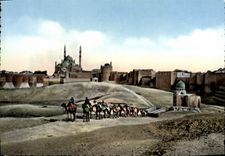 POSTAL MODERNA El Cairo los camellos de Egipto de la ciudadela
