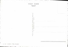 POSTAL MODERNA El Cairo los camellos de Egipto de la ciudadela