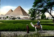 POSTAL MODERNA El Cairo el Pyrarnids del camello de Giza Egipto