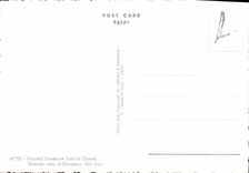 CPM Painted limestone bust of Queen Nefertiti wife of Echnaton Egypte