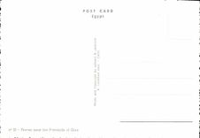 MODERN CARD Praver Near the Pyramids off Giza Egypt