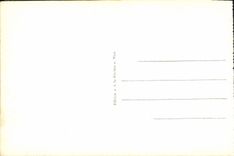 CPA Nice Les Jardins Albert 1er