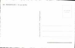 CPM Porquerolles Un Coin du Port Bateaux